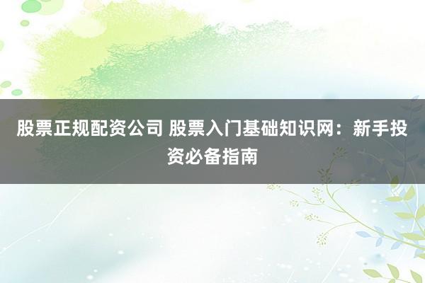 股票正规配资公司 股票入门基础知识网：新手投资必备指南