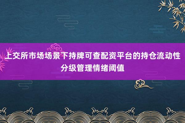 上交所市场场景下持牌可查配资平台的持仓流动性分级管理情绪阈值