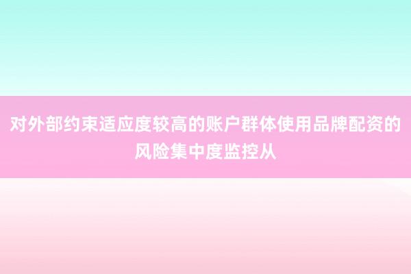 对外部约束适应度较高的账户群体使用品牌配资的风险集中度监控从