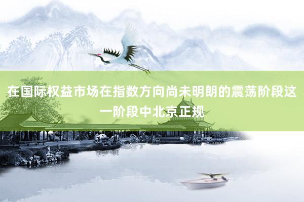 在国际权益市场在指数方向尚未明朗的震荡阶段这一阶段中北京正规