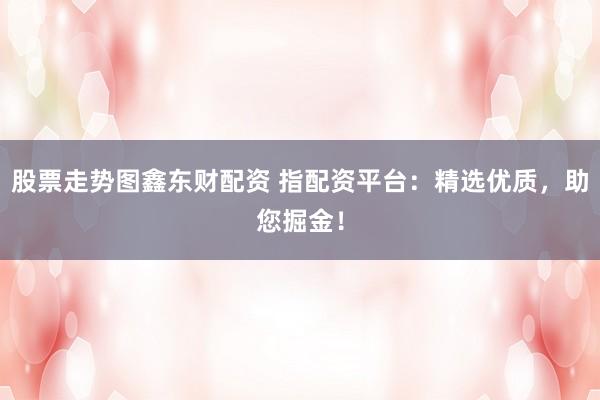 股票走势图鑫东财配资 指配资平台：精选优质，助您掘金！
