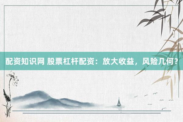 配资知识网 股票杠杆配资：放大收益，风险几何？