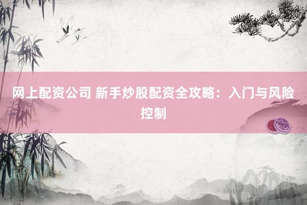 网上配资公司 新手炒股配资全攻略：入门与风险控制